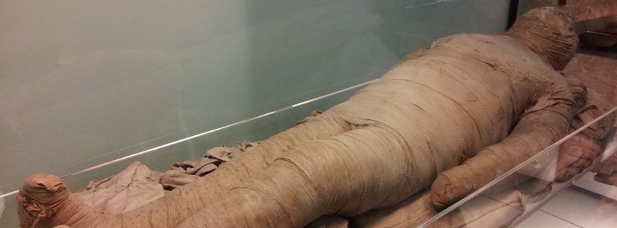 egyptian museum tour mummy room